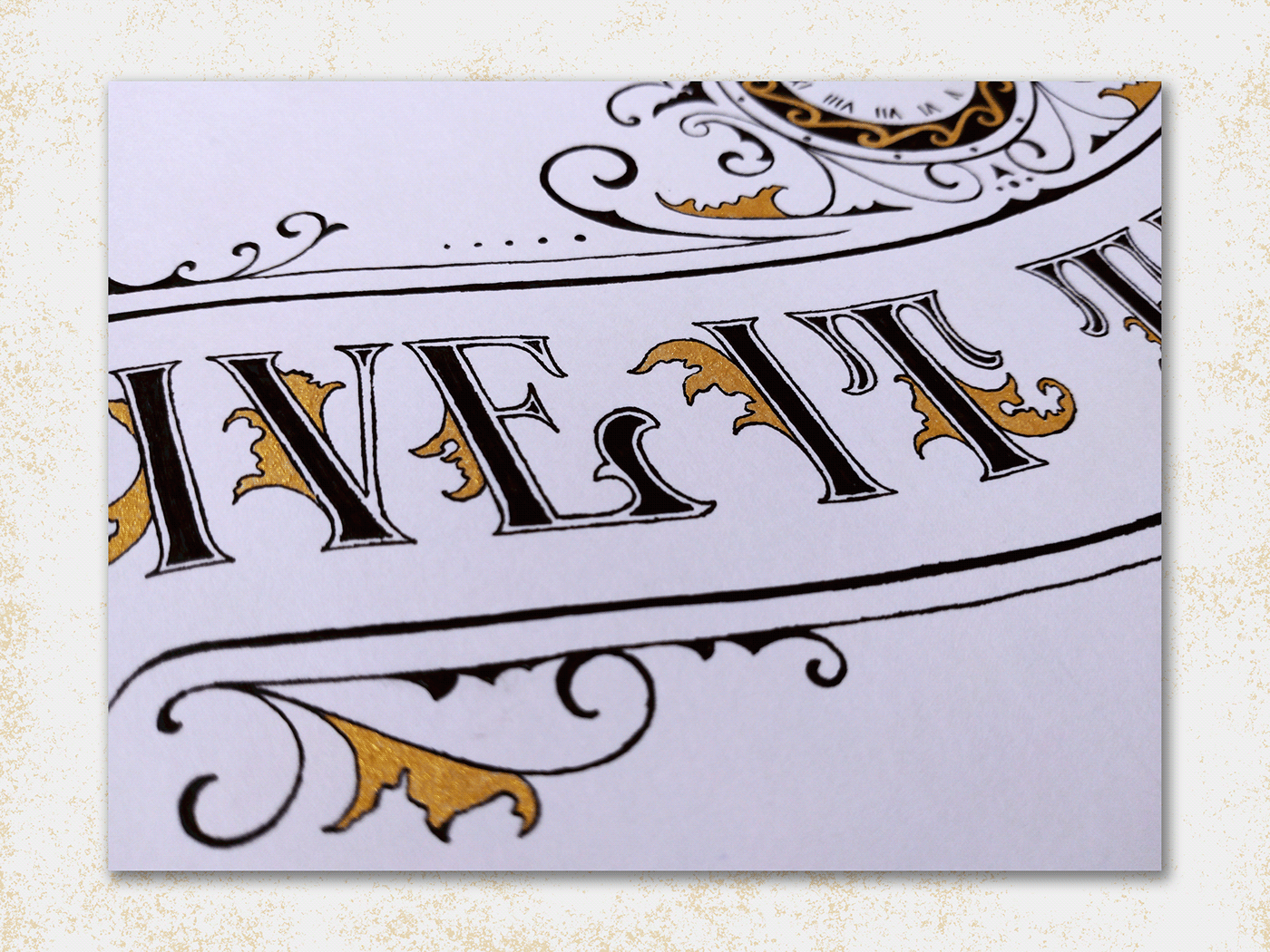 HAND LETTERING hand-drawn inking inspiration lettering organic ornamental type typography   vintage