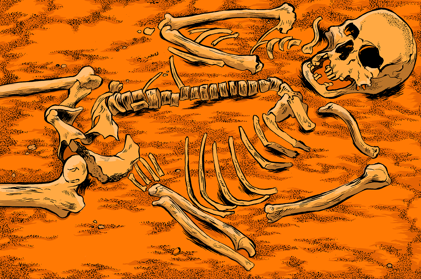 skeleton sand digital art skull bones