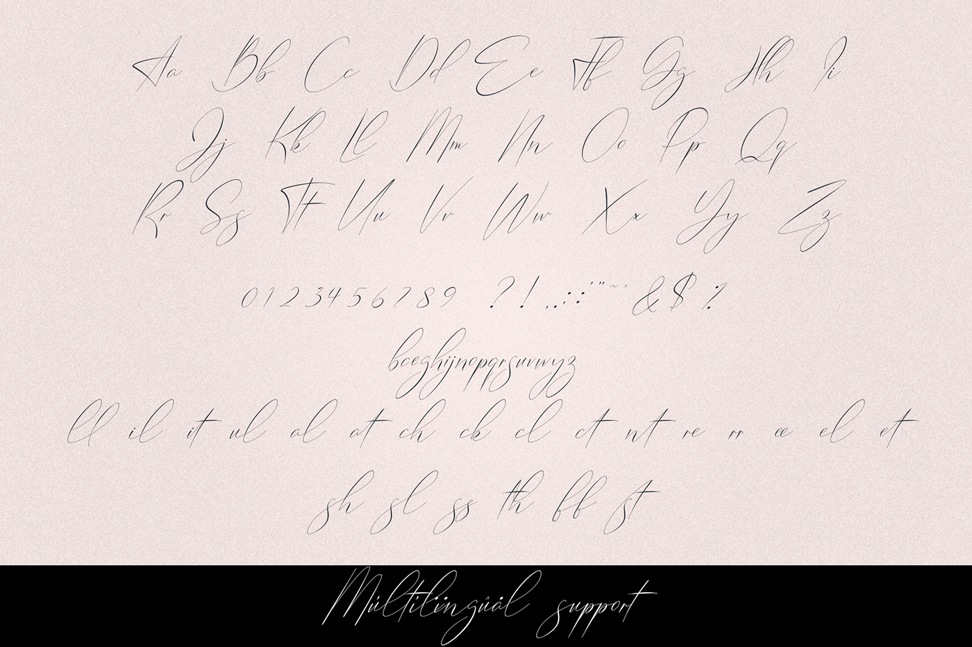 free freebie font Script Typeface typography   elegant handwritiing hand made letter