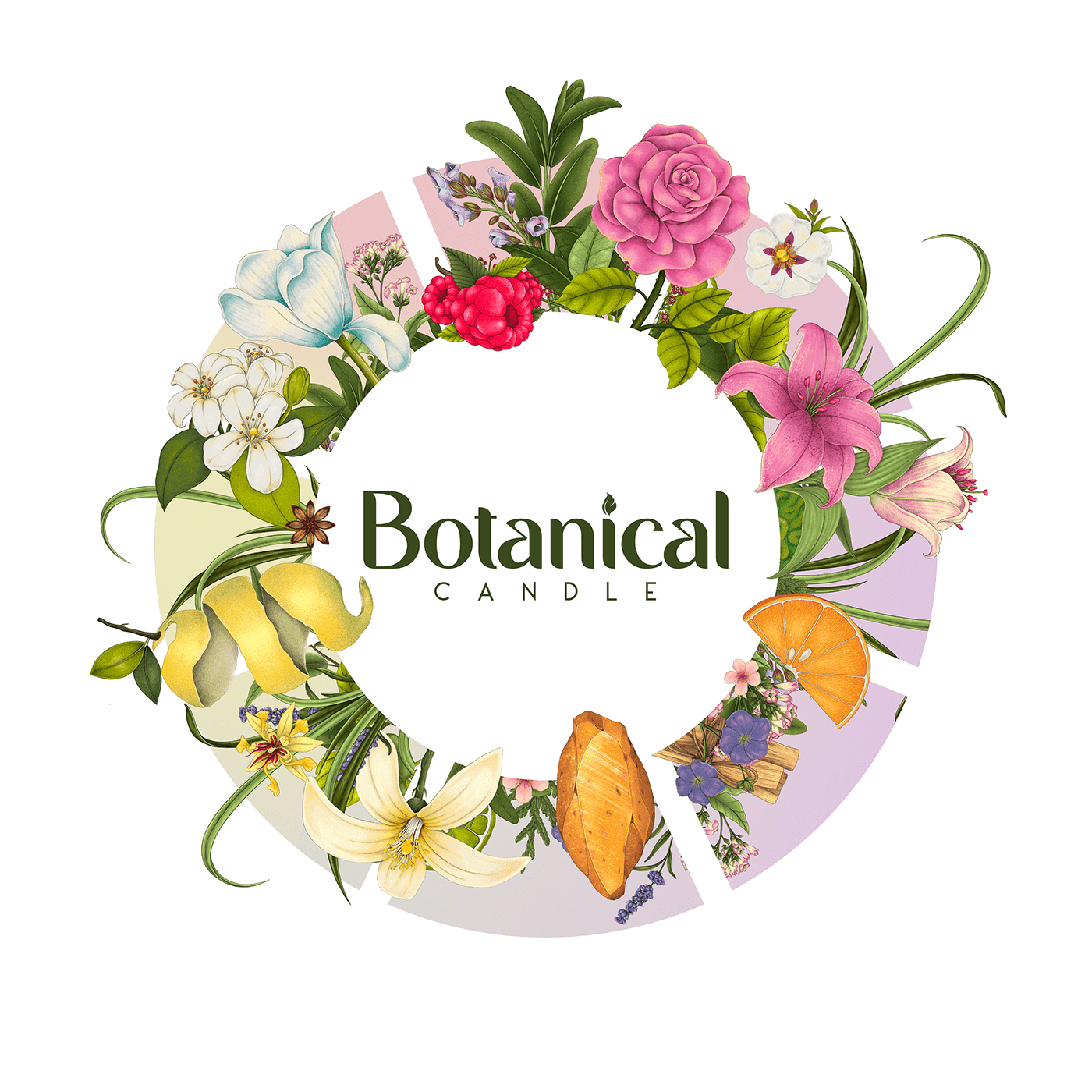 botanical illustration brand identity illustrated packaging ILLUSTRATION  packaging design rebranding