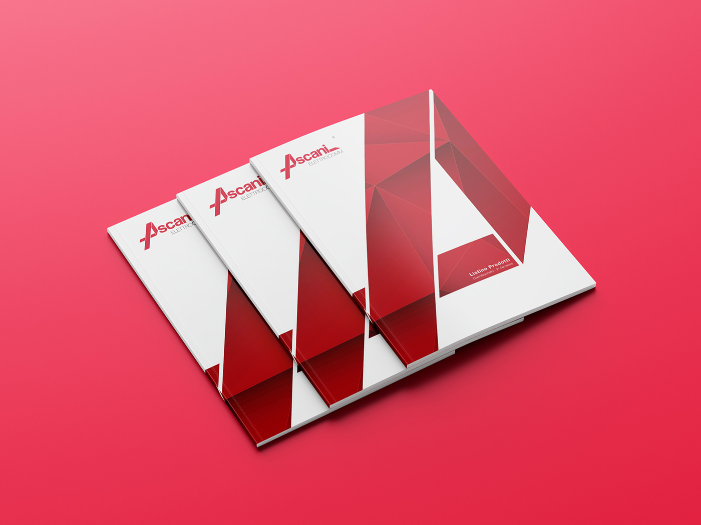 Adobe Portfolio Corporate Identity folder letterhead envelope brand graphic Catalogue brochure cover company profile