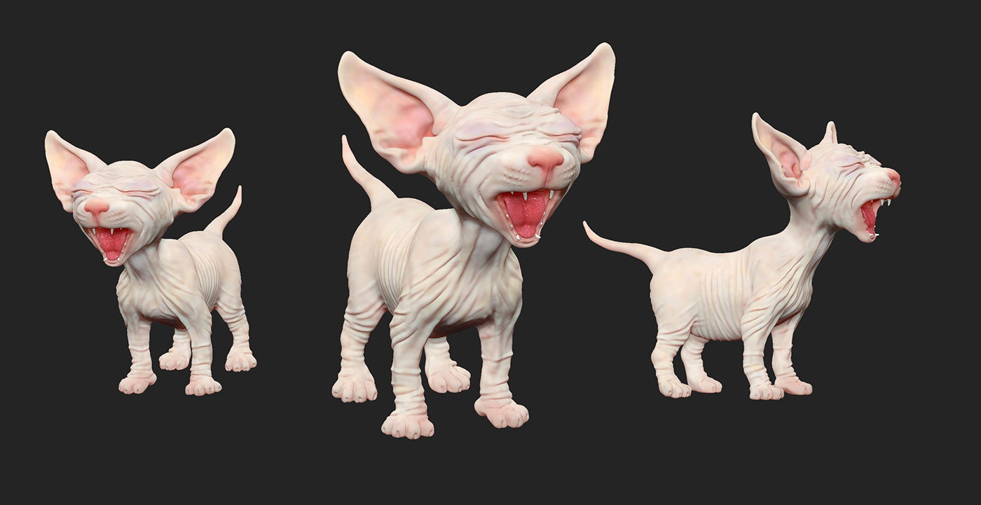 3d art 3D Characters blender 3d Cat sculpting  Zbrush