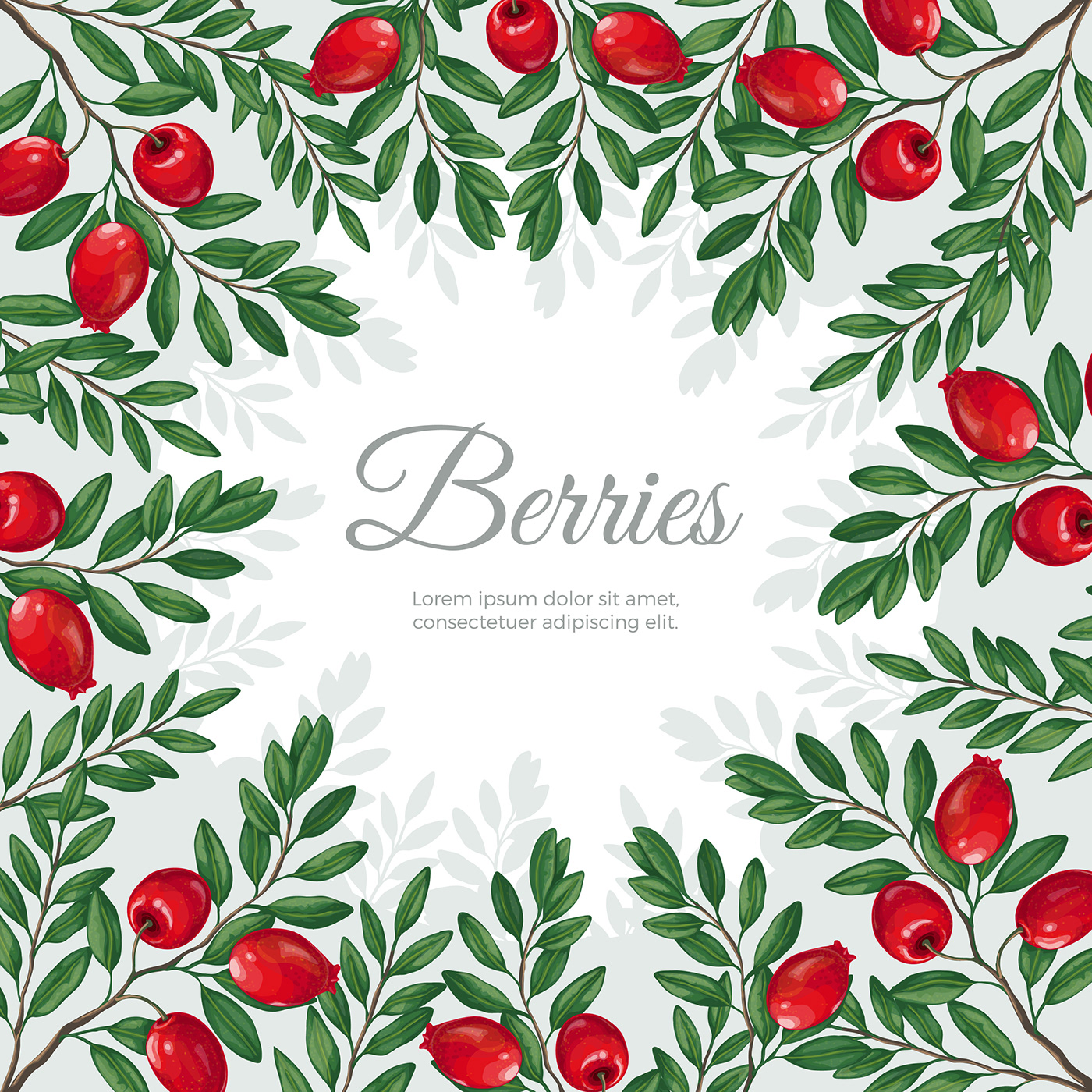 branches leaves berries winter berries snowy seasons vector objects