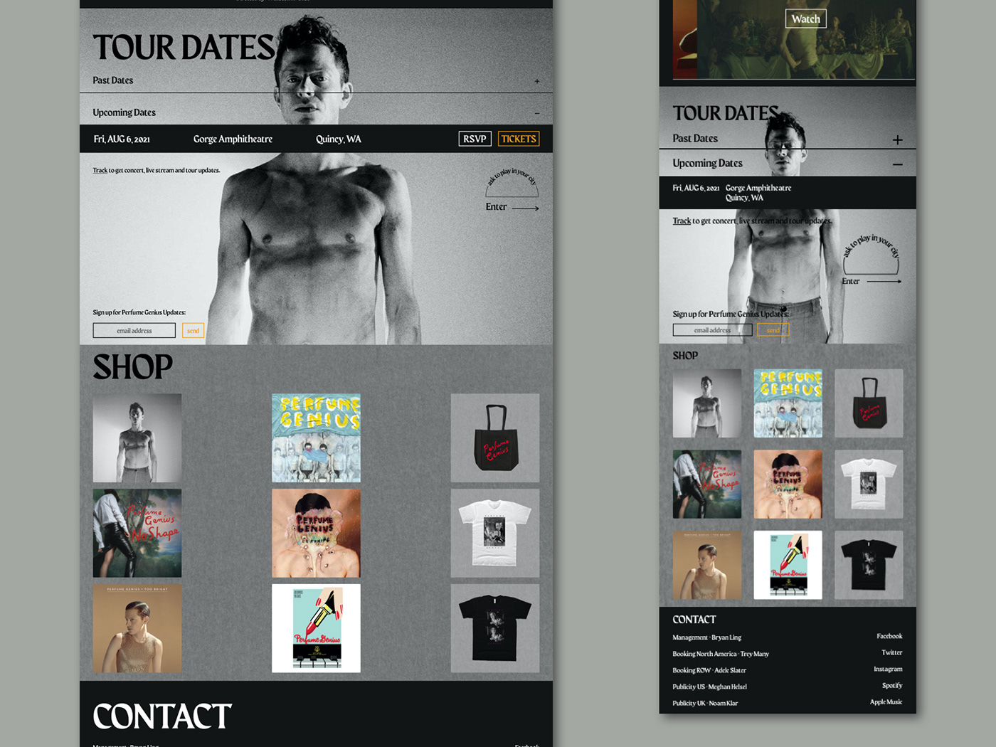 desktop digital design mobile music musician perfume genius ui design UX design Website