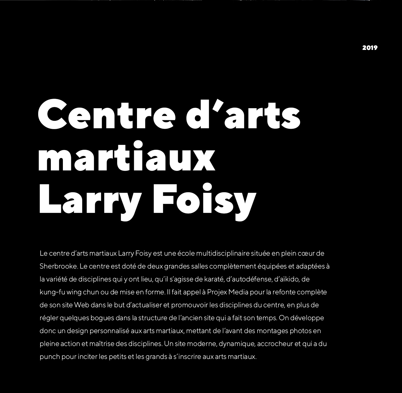 conception site web projex media centre Larry Foisy arts martiaux design graphique wordpress graphisme karaté sherbrooke Website Design