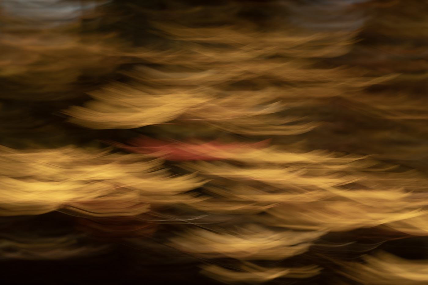 abstract artwork autumn Digital Art  Fall fall colors leaves Nature Photography 