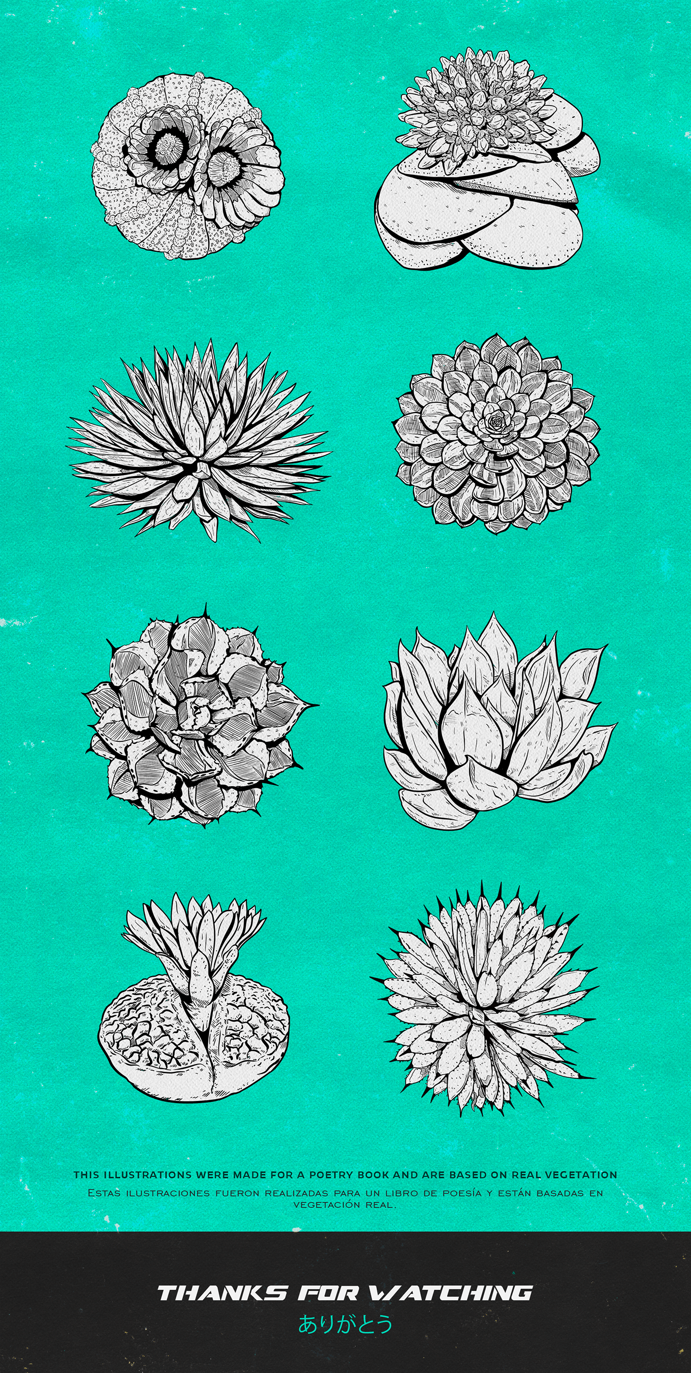 digital illustration ILLUSTRATION  plants Flowers ilustracion Digital Art  design