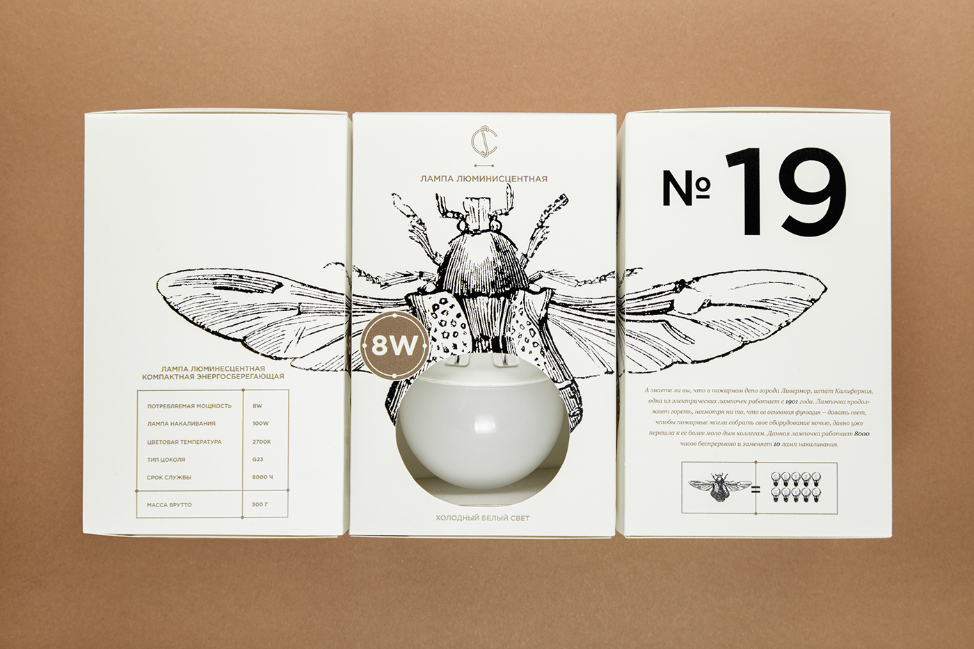 branding  Insects ILLUSTRATION  graphic design  identity logo electric Lightbulb Packaging bugs