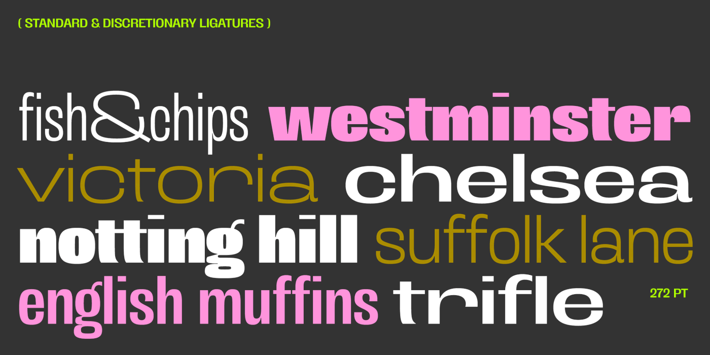 branding  editorial font grotesk modern poster sans serif Typeface typography   Variable Font