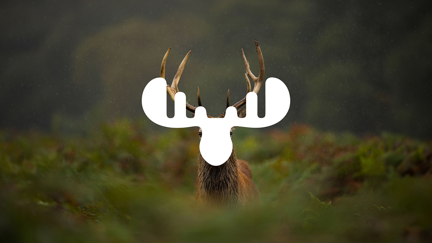 brand identity Logo Design redesign deer moose usa restaurant steak Steakhouse BBQ
