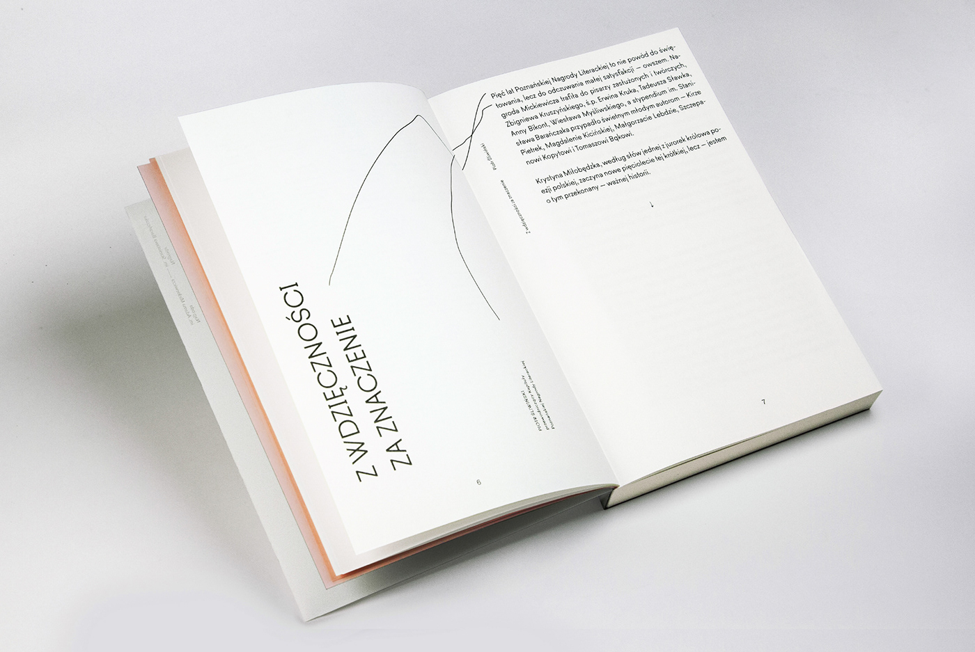 graphic design  publishing   typography  