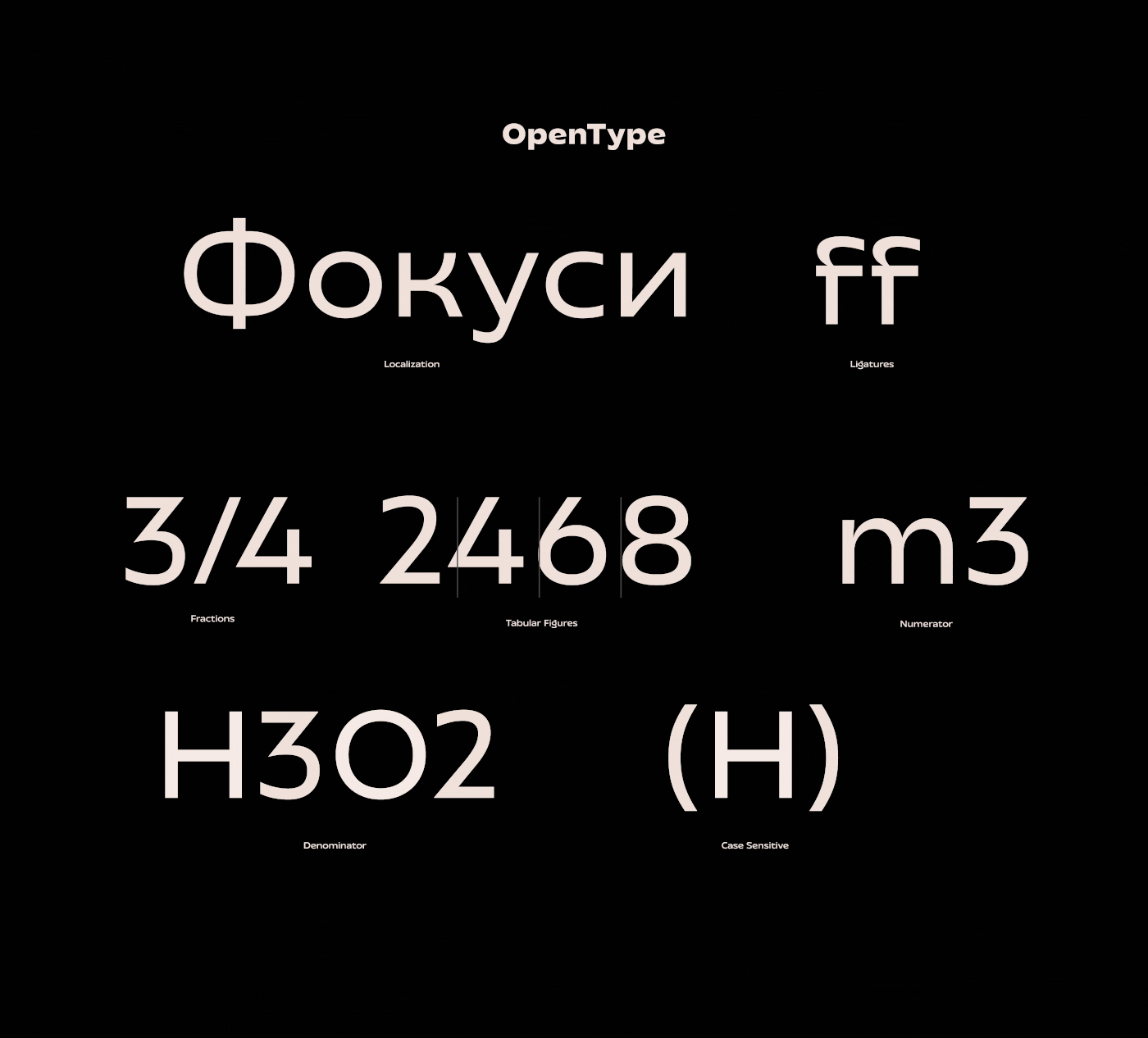 typography   font fonts free sans serif Script Typeface branding  Free font Display