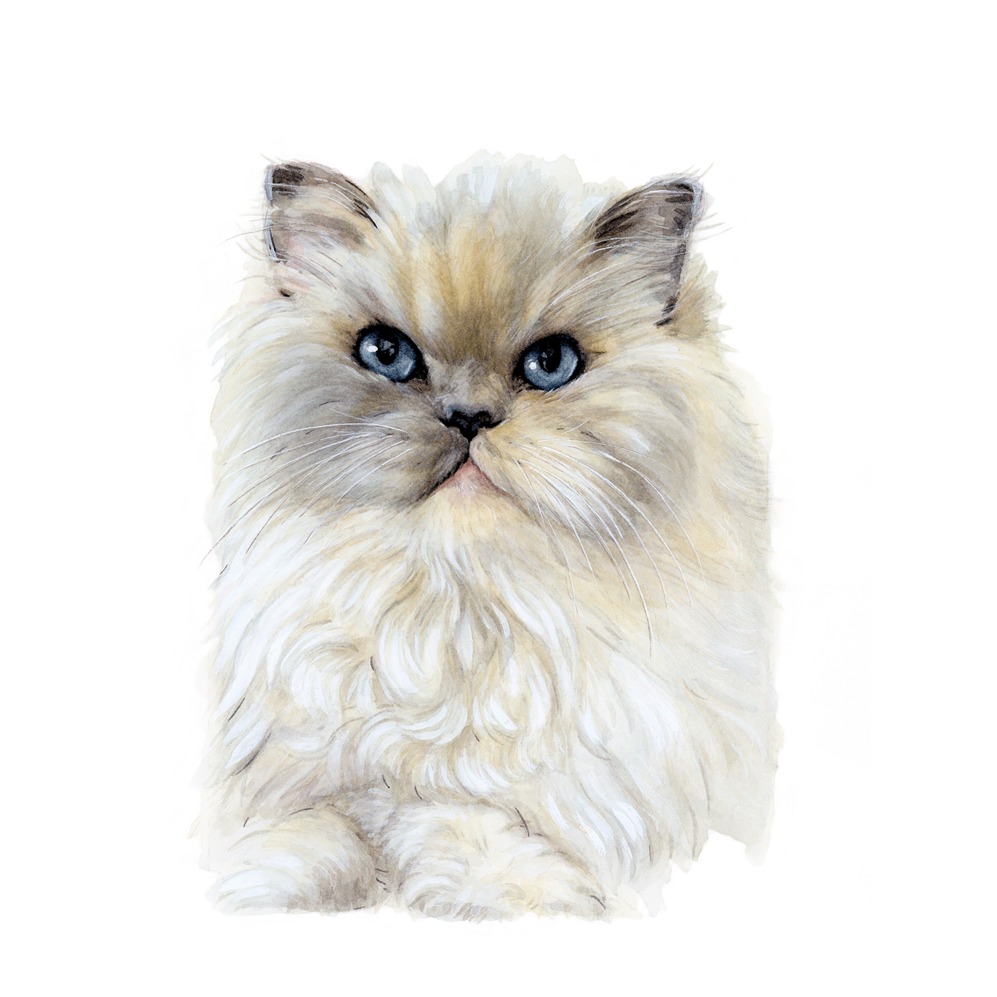 watercolor petportrait Cat cute painting   portrait