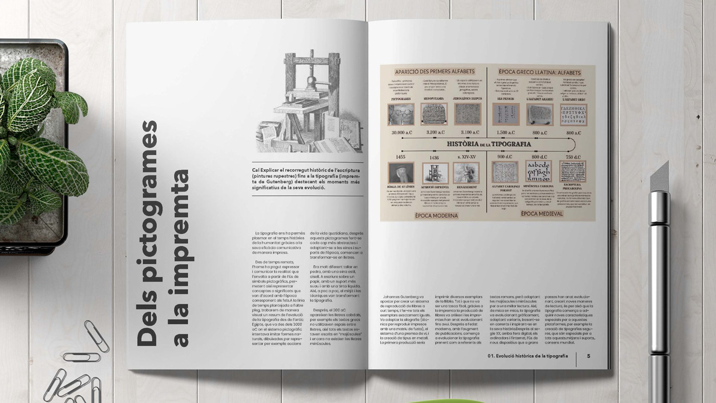 graphic design  designer InDesign revista Diseño editorial magazine