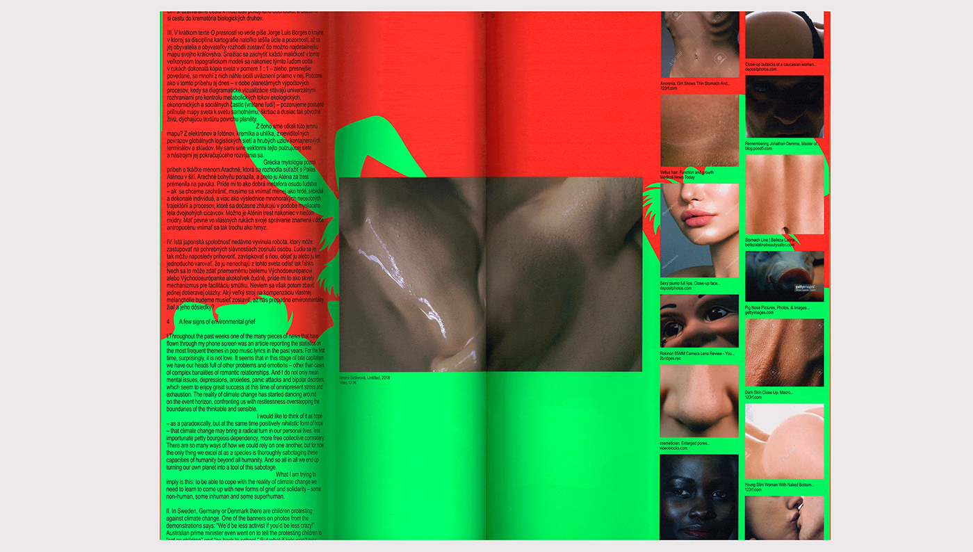 book editorial design  Exhibition  millennials Catalogue deer poster RGB screenprint
