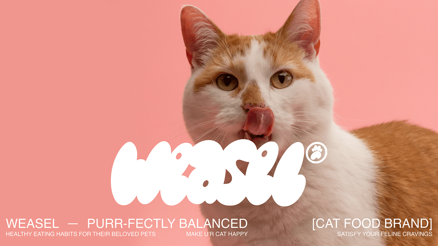 branding  Logo Design brand identity Cat petfood logo identity logos
