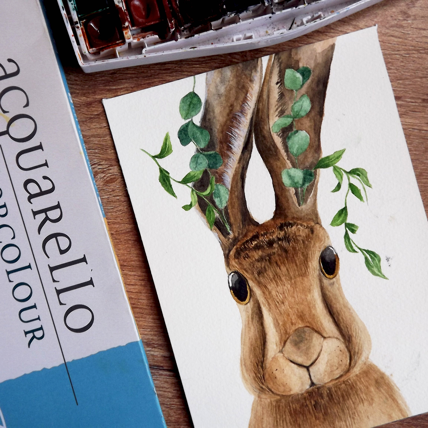 watercolor ILLUSTRATION  painting   rabbit eucalyptus surreal