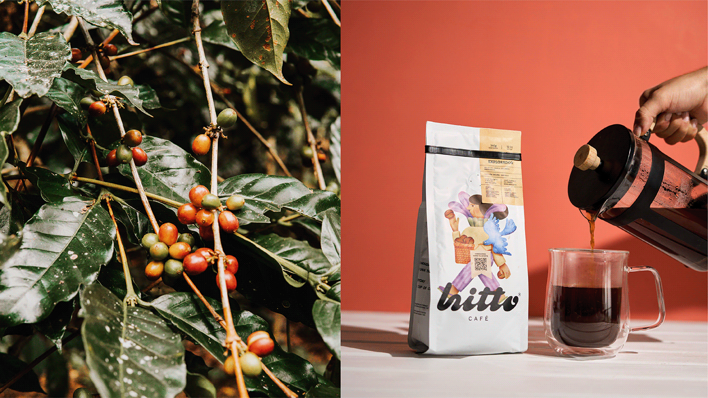 cafe Coffee coffee shop colombia coffee packaging visual identity Logo Design