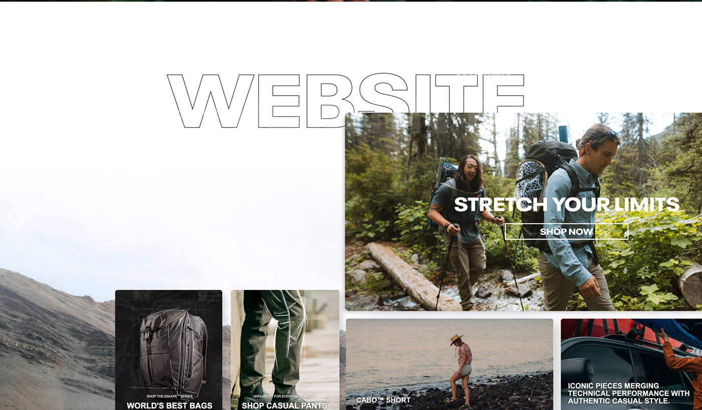 brand business Clothing divi Ecommerce Email marketing   newsletter online store Web Design 