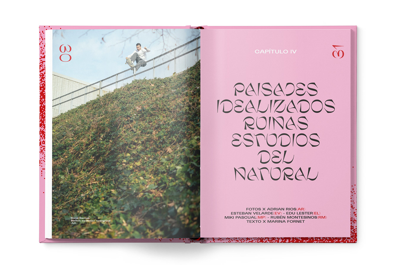 editorial design  skateboarding magazines