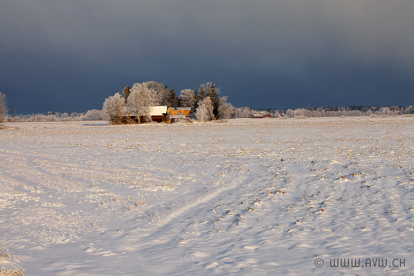 Travel photo REISEN värmland schweden Nature Landscape natur Landschaft winter