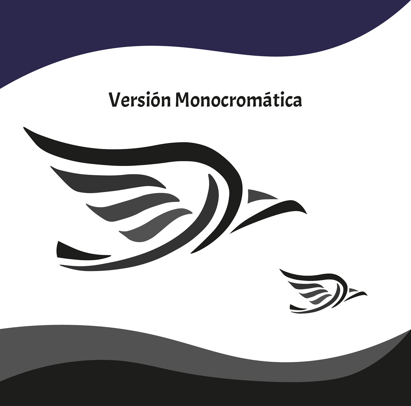 logo marca tecnologia deporte innovación aguila eagle branding  Logo Design pictogram