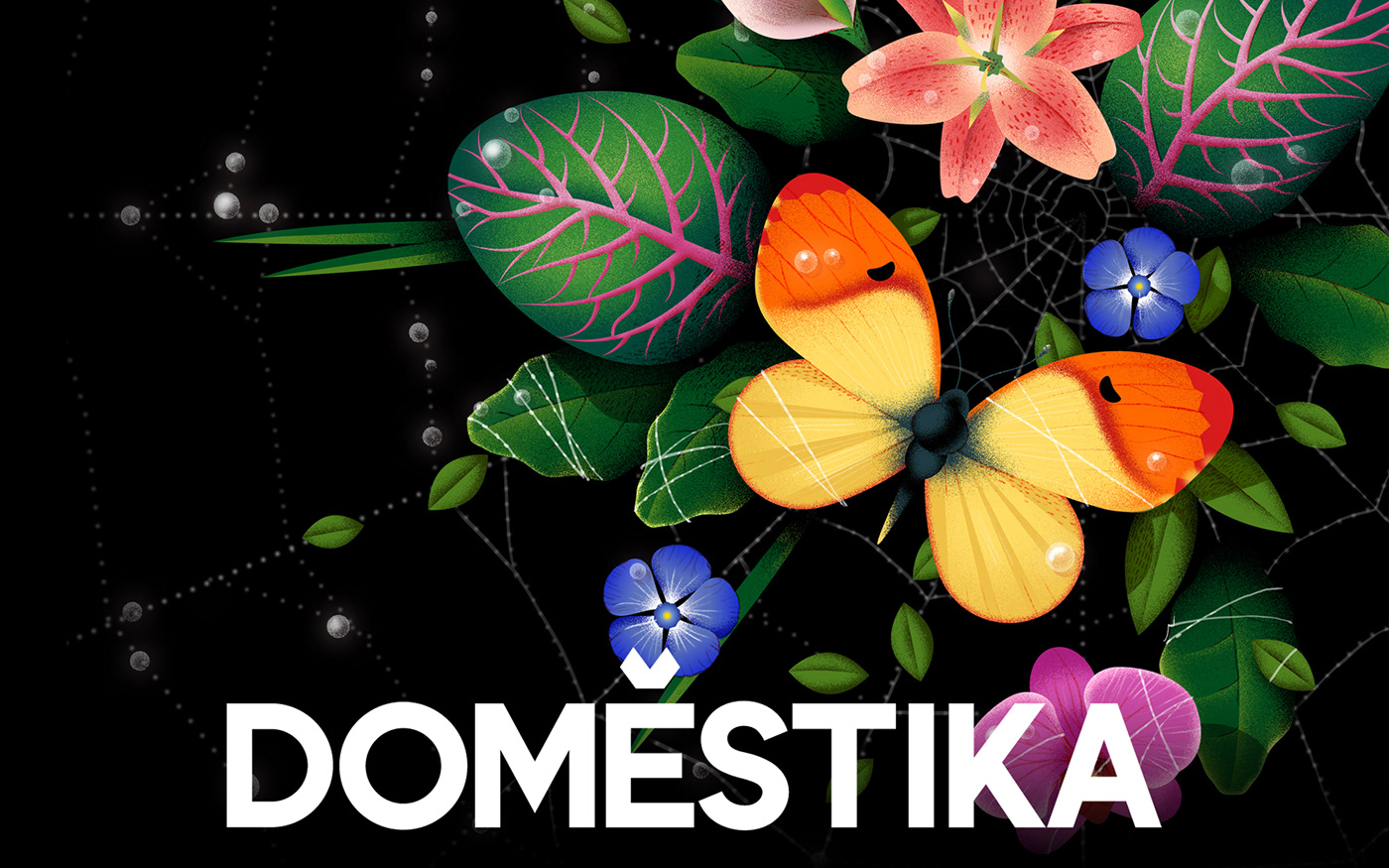 animals botanical butterfly domestika Flowers Insects learning leaves plants spider