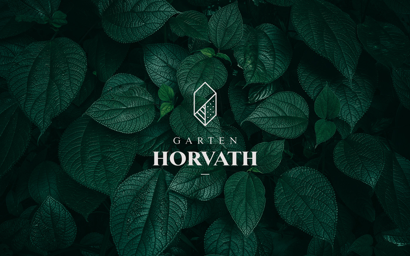 garden brand identity graphic design  Webdesign botanica leaf Photography  design typography  
