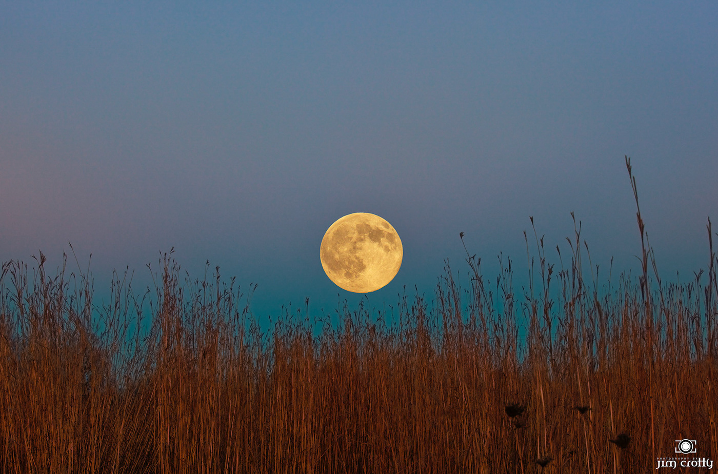 Outdoor Nature night sky moon night Composite