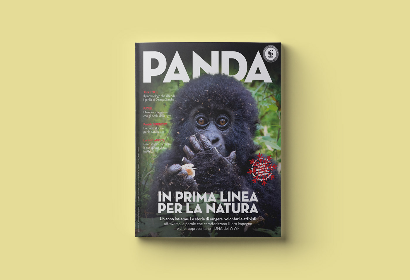 art directiom progettazione aurea magazine editorial design  cover Panda  WWF