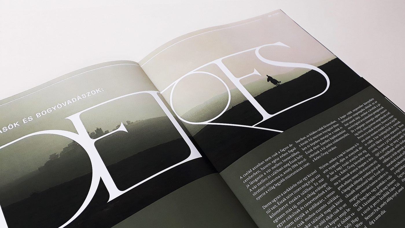 magazine graphic design  typography   Zine  Layout Layout Design fantasy Travel Travel Magazine fictional magazine