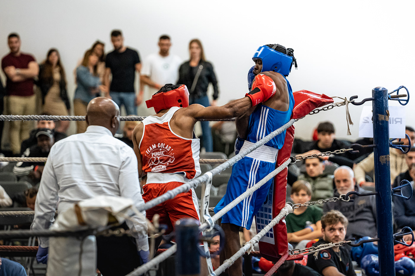 Boxing Boxer fight Photography  portrait lightroom Tournament sports