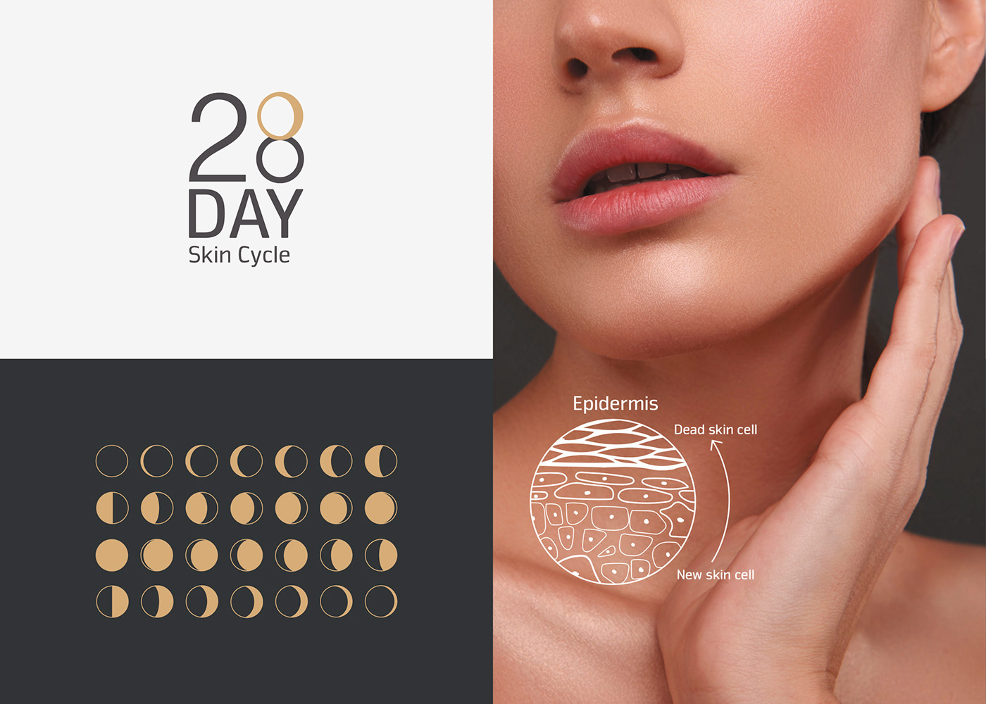 Advertising  beauty branding  Corporate Identity logo skincare Web Design  Packaging