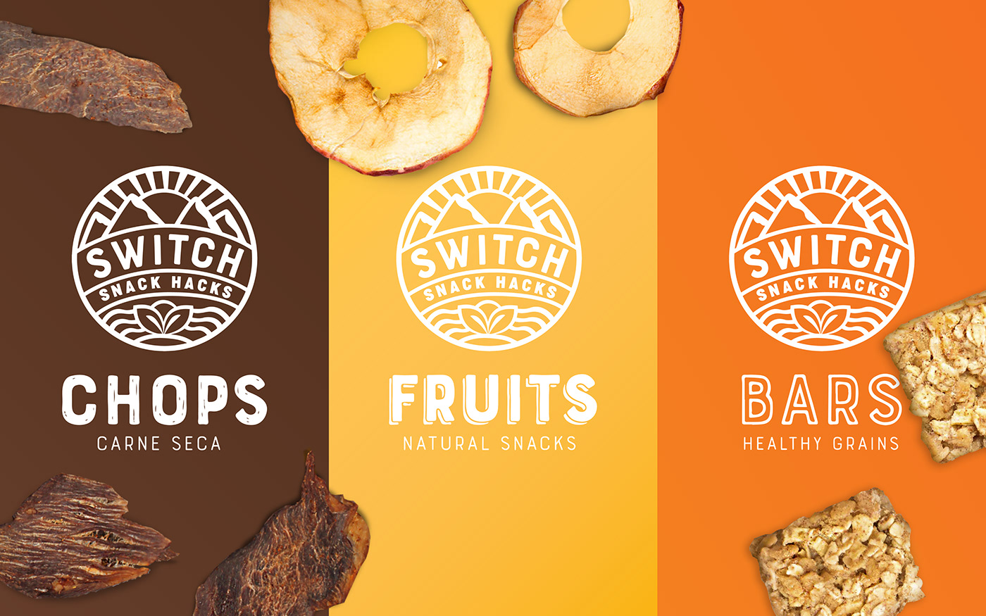solar snacks dried panels natural dried meat apple fruits Wellness Food 