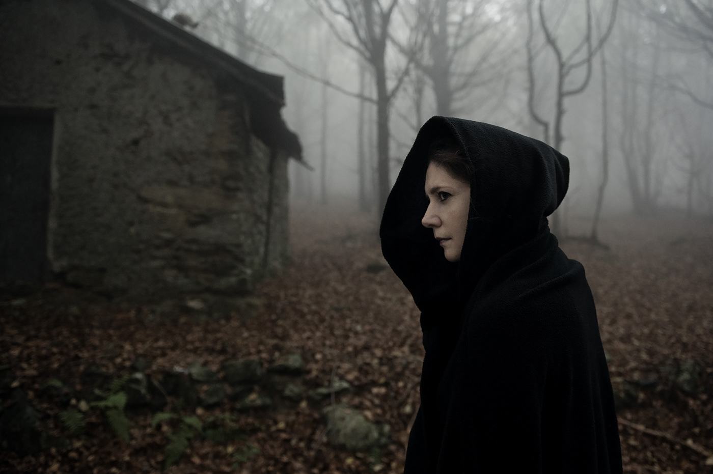 autumn wood fog dark darkness fear gothic black