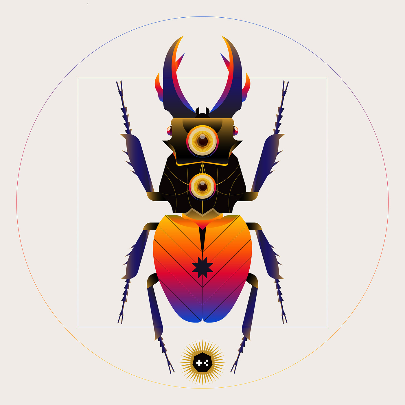 animal bug color eye ILLUSTRATION  indonesia insect museum skull vector