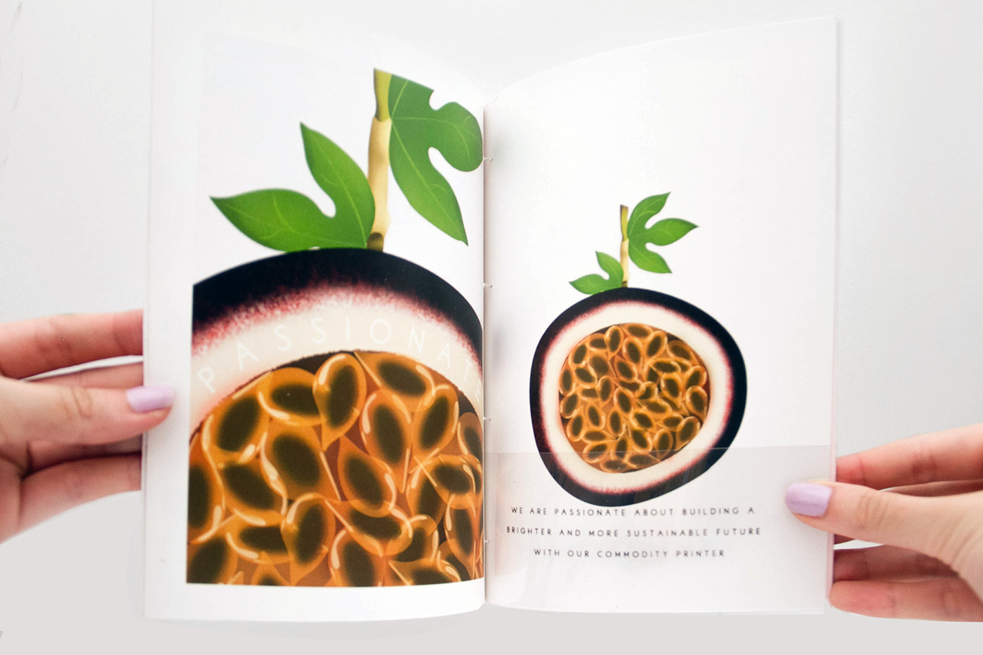 Catalogue  corporate identity Zines Publications Promotion Pack book futuristic minimalist product application graphics madethis PassportToCreativity