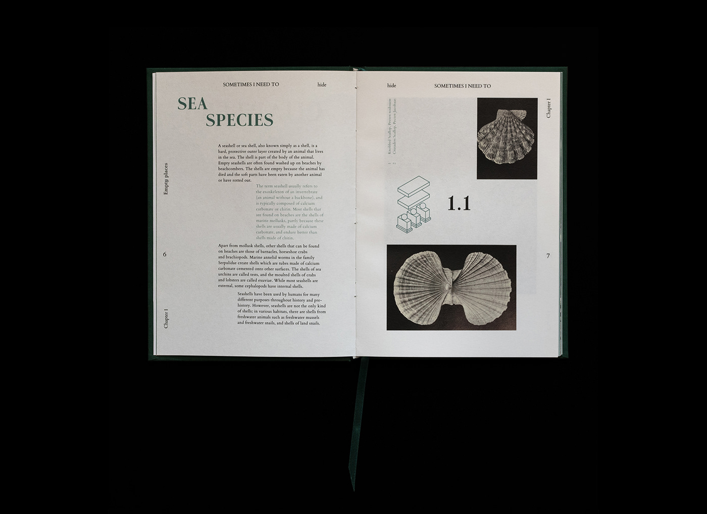 book editorial design  Wydawnictwo Zine  książka green typography   Shells book design poznan