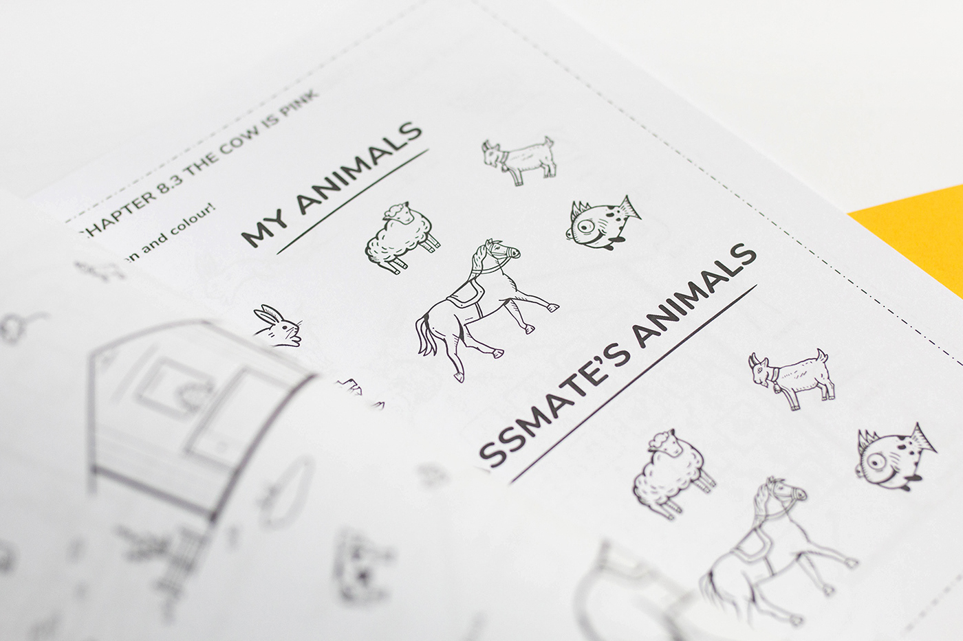 textbook ILLUSTRATION  doodle design english illustrated coursebook minimalist simple book