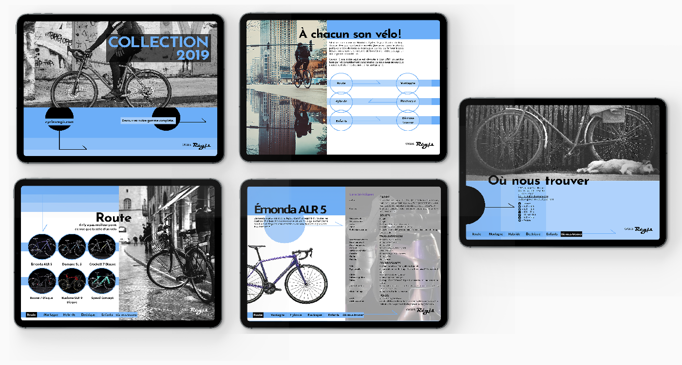 Cycles Régis edition étudiant interactif pdf