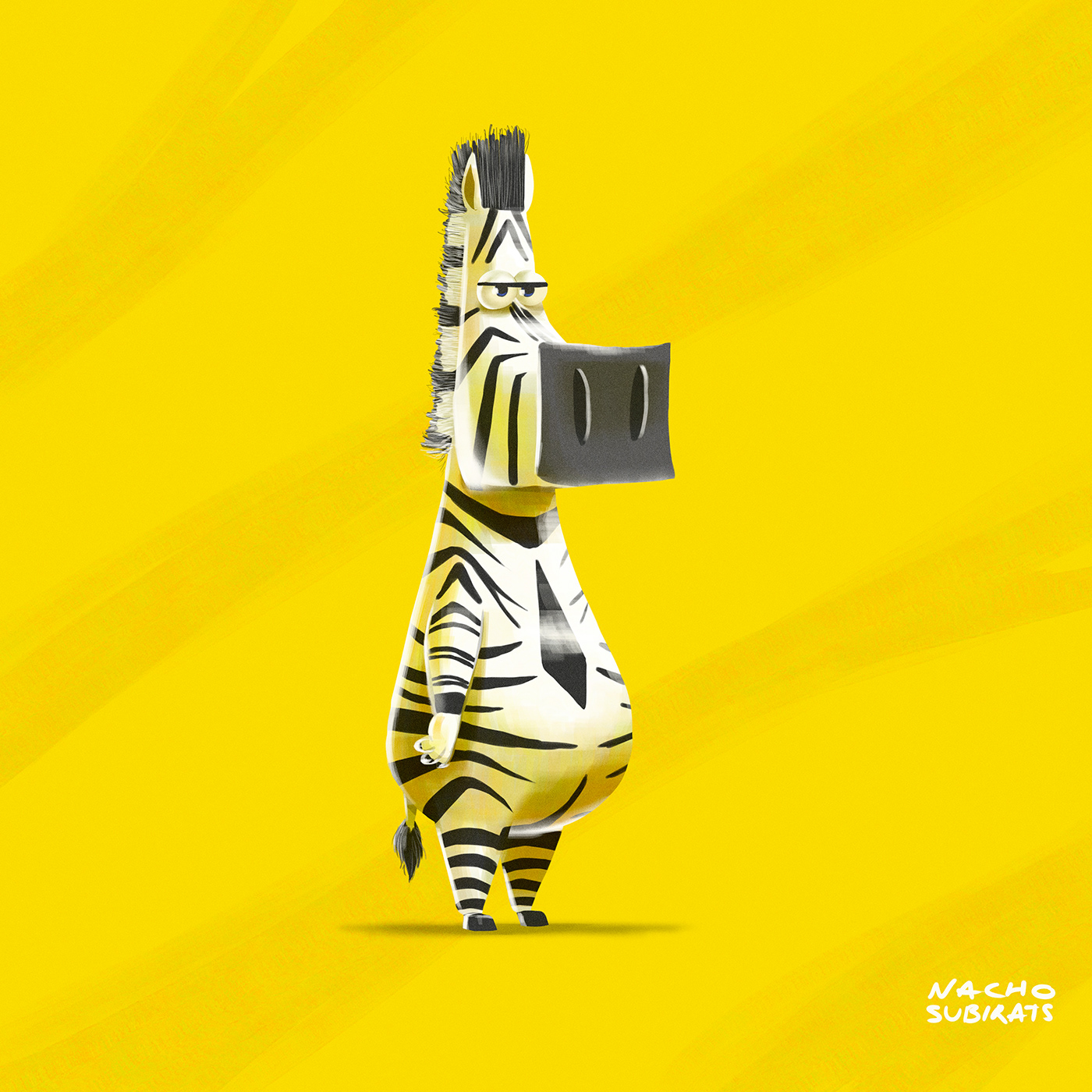 animal animation  cebra Character Character design  zebra