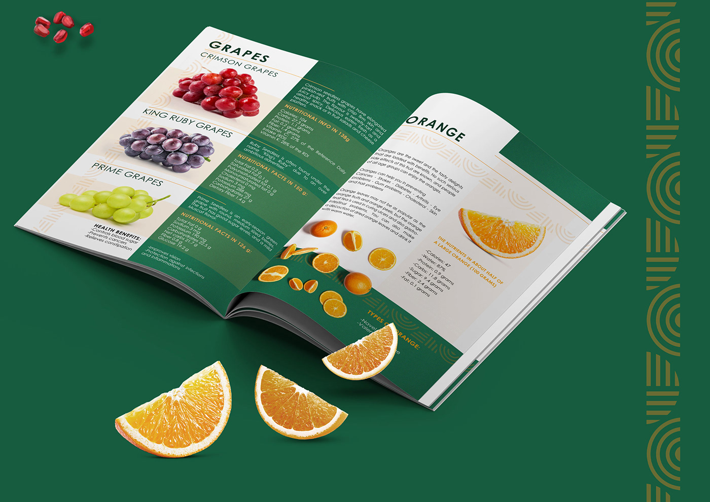 company profile prochure agriculture vegetable fruits egypt cairo branding  Advertising  farm