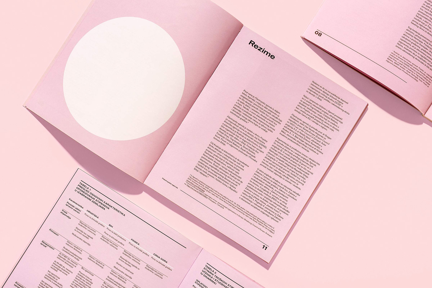 book brochure circle clean editorial design  minimal nonprofit Philanthropy  pink print