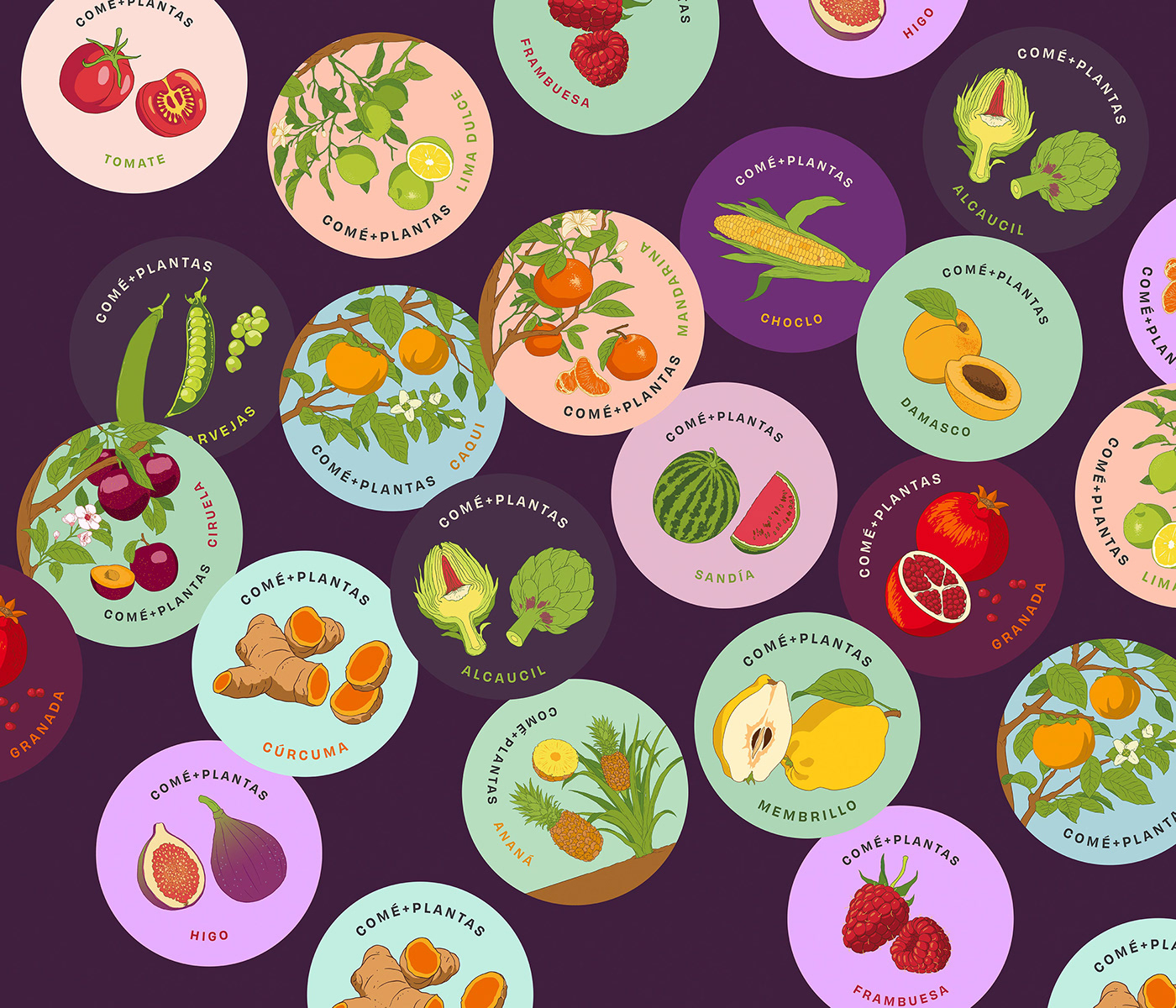 app botanical eat fruits ILLUSTRATION  ilustracion Microsoft narda lepes plantas plants