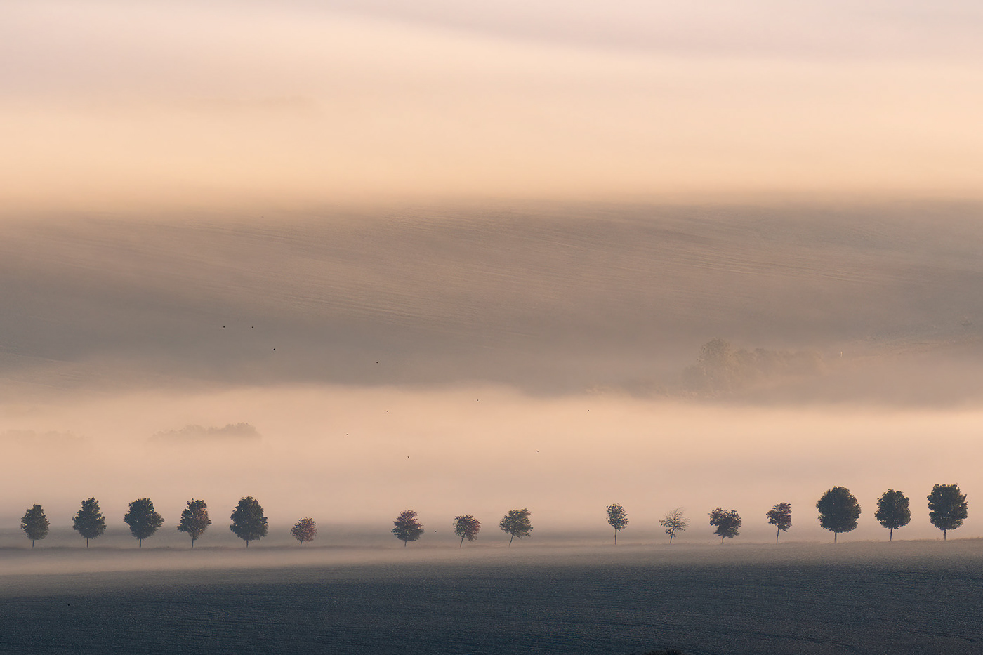 bohemian Czech mist Nature mountains Photography  autumn Travel fog Landscape