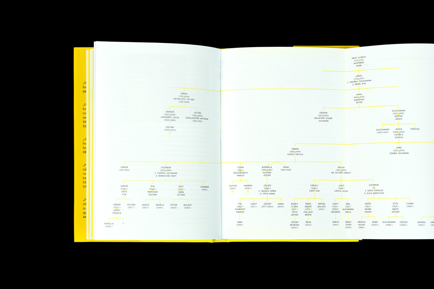 book pixel typography   Diecut black yellow petőfi photograph foldout hardcover
