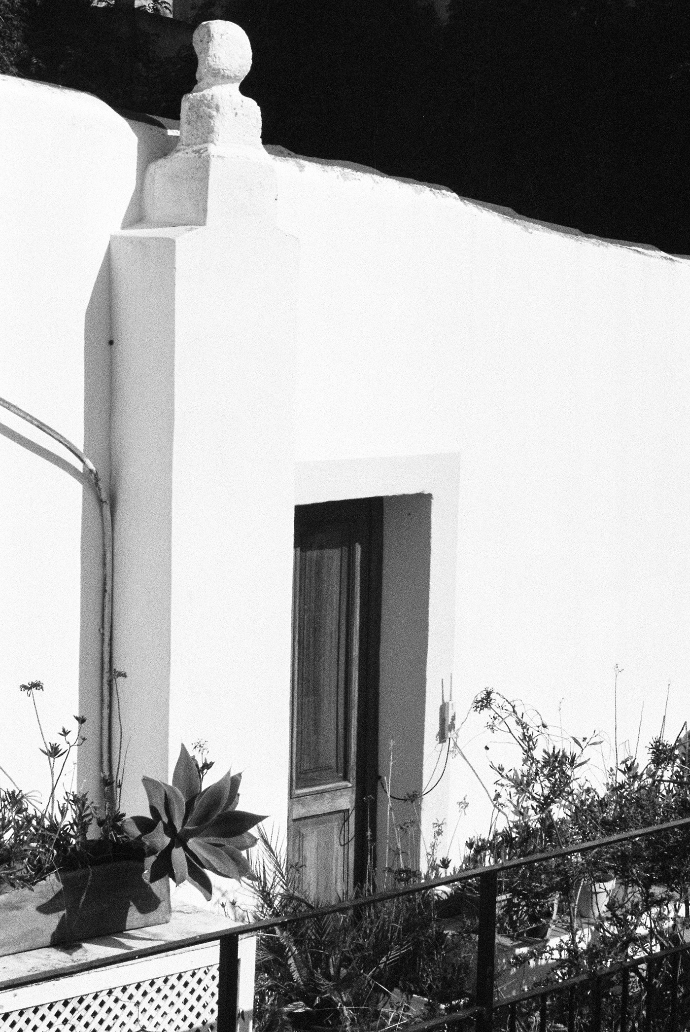 film photography 35mm black and white Photography  analog photography ibiza