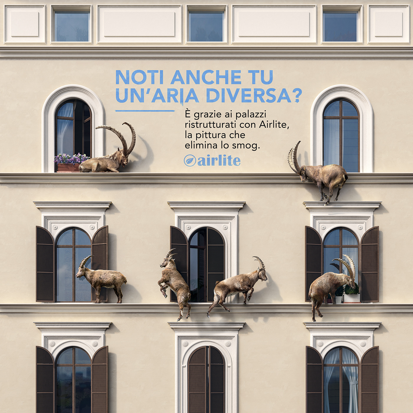 ADV retouching  ibex animals Rome scramble smog pollution