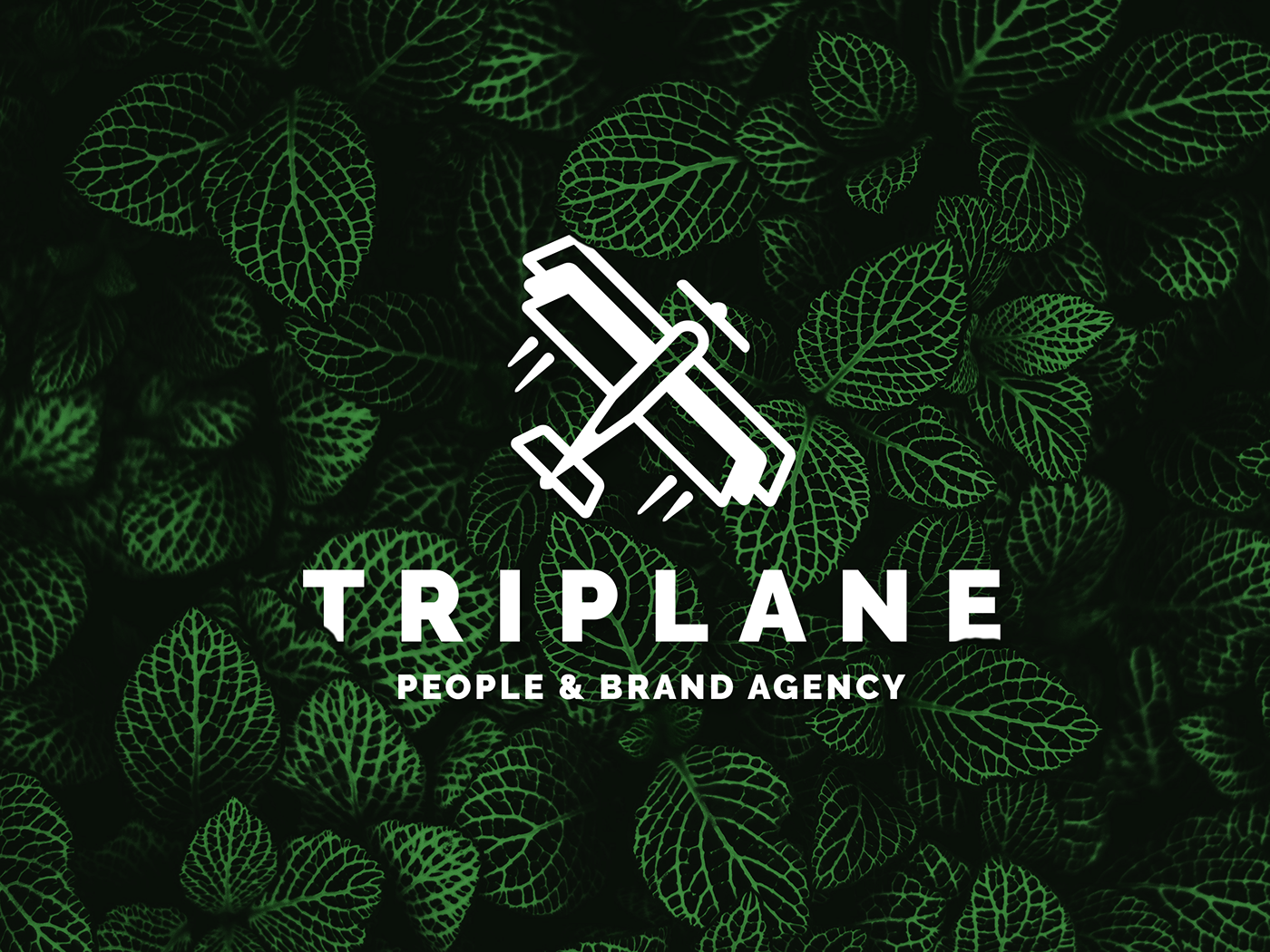 logo branding  creative plane people triplane brand leaves green