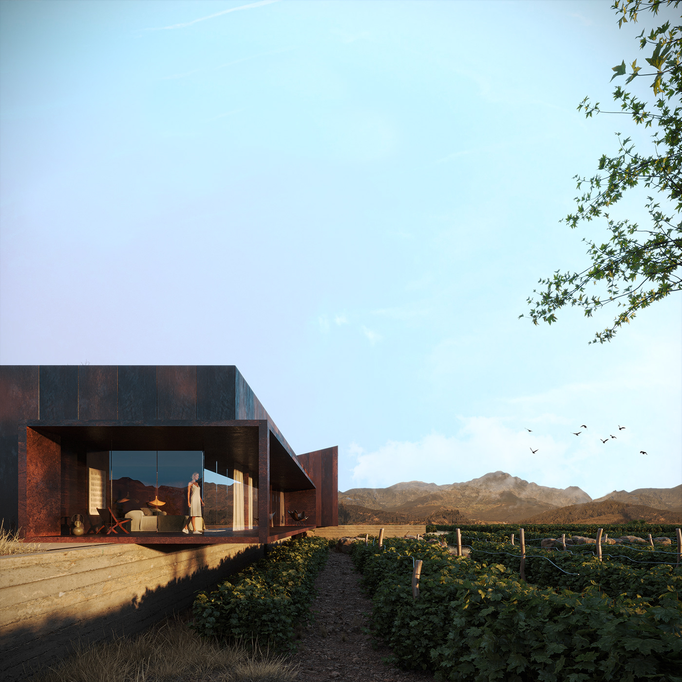 Render architecture visualization archviz CGI 3ds max corona design vineyard wine